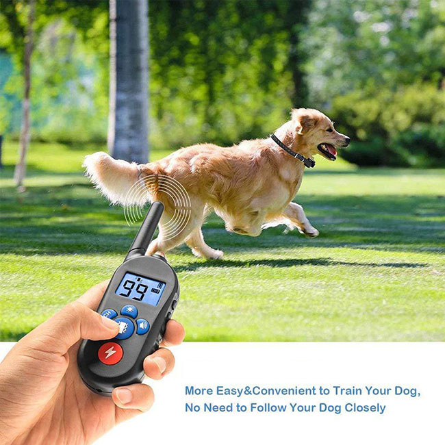 Collier dressage chien imperméable et rechargeable 600m Anti Aboiement